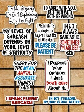 Sarcastic Saying Sticker Pack of 9 Vinyl Stickers Waterproof Die Cut Sticker Set
